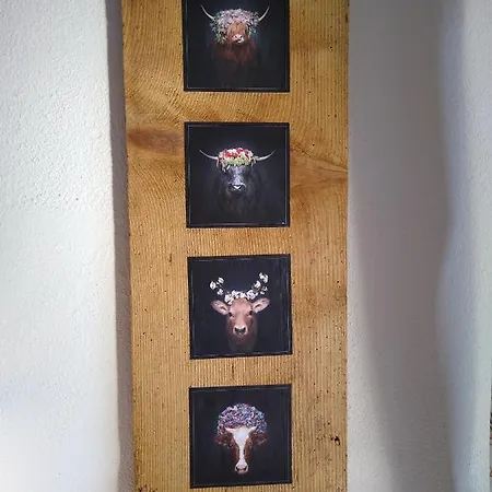 365 Mit Sauna, Schwimmbad Und Fitness Apartmán *