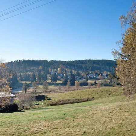 Ferienwohnung Schoenwald Шёнвальд